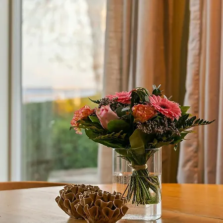 With Sea View Near Feriehus